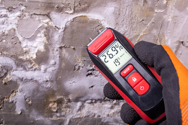 Best Affordable Mold Removal  in Fredericktown, MO