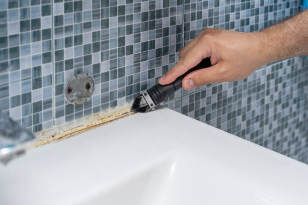 Best Mold Cleaning Services  in Fredericktown, MO
