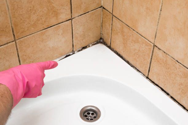 Best Mold Remediation  in Fredericktown, MO